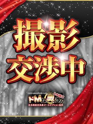 アリス