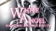 WHITE ANGEL 업소 정보