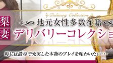 山梨人妻デリバリーコレクション 업소 정보