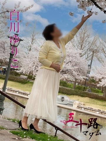 白川ゆりこ